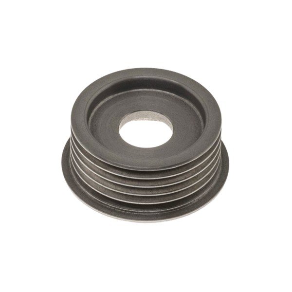 Polia do Alternador Triade T254