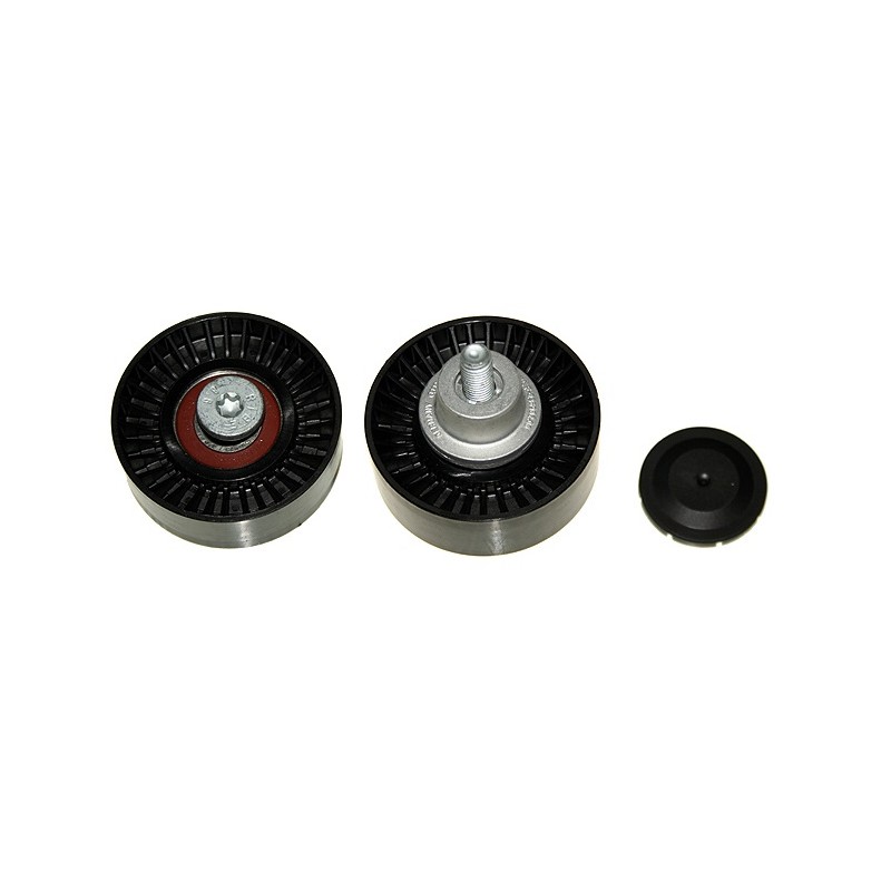 Polia do Tensor Alternador INA 5320513100