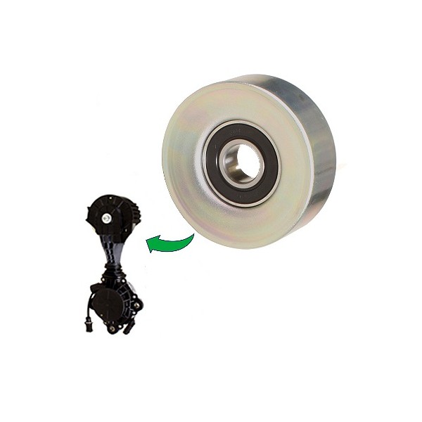 Polia do Tensor Alternador INA 5320676100