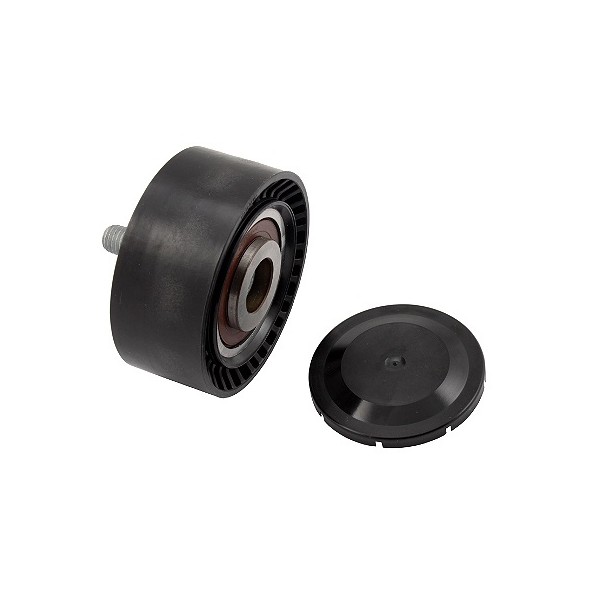 Polia do Tensor Alternador INA 5320722100