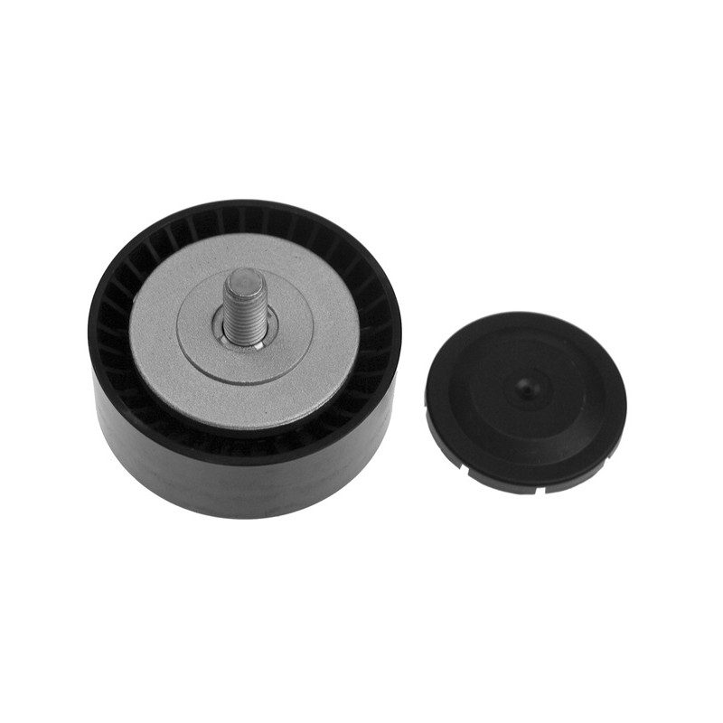 Polia do Tensor Alternador INA 5320342100