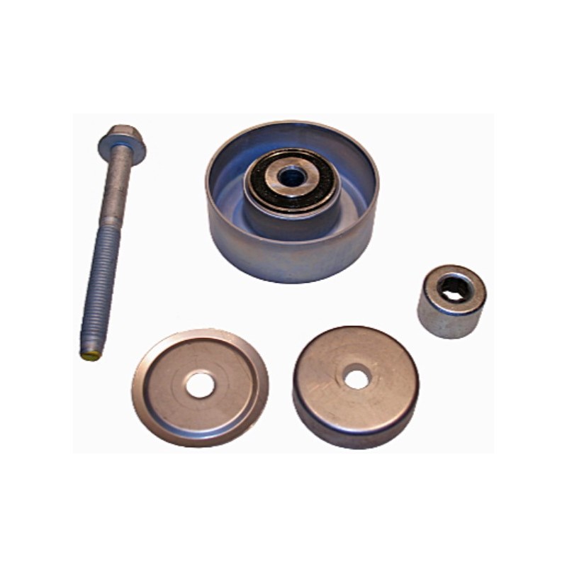 Polia do Tensor Alternador INA 5320665100
