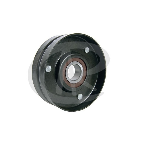 Polia do Tensor Alternador Ranalle R4336