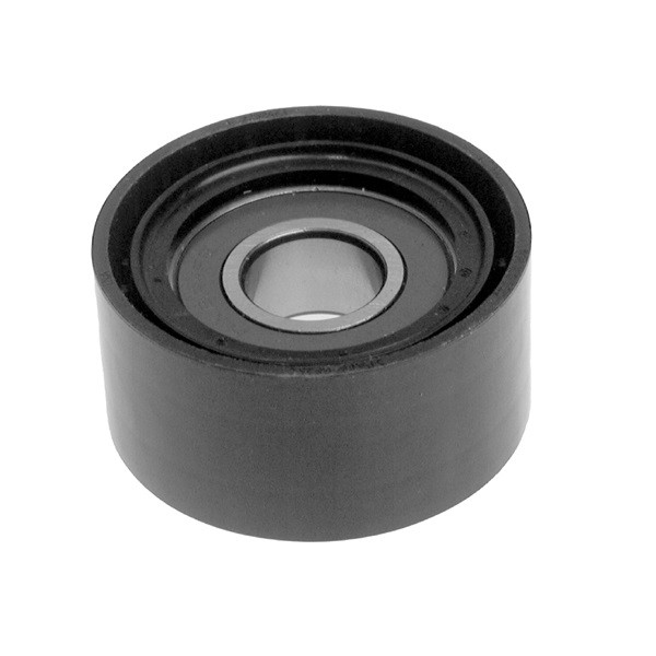 Polia do Tensor Alternador INA 5320304100