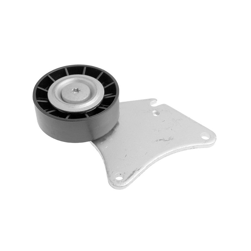 Polia do Tensor Alternador INA 5320126100