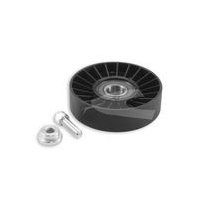 Polia do Tensor Alternador Cobra LH179025CP