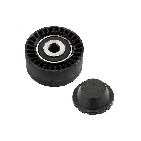 Polia do Tensor Alternador INA 5320331100