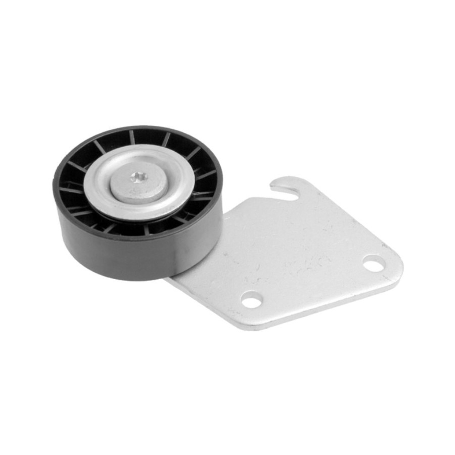 Polia do Tensor Alternador INA 5320124100