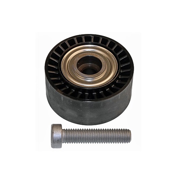 Polia do Tensor Alternador INA 5320433100