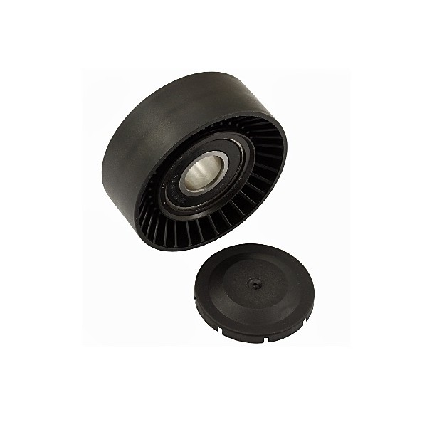 Polia do Tensor Alternador com Direção Hidráulica sem Ar INA 5310891100