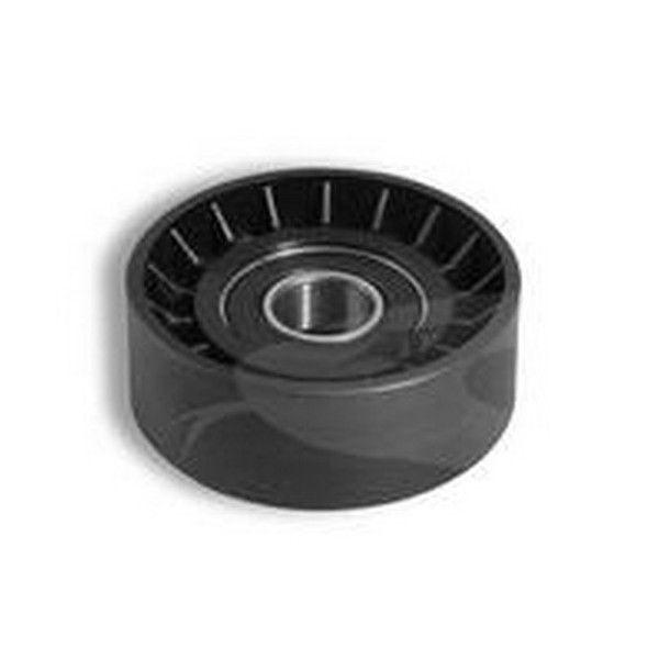 Polia do Tensor Alternador com Direção Hidráulica sem Ar Cobra COLH177026