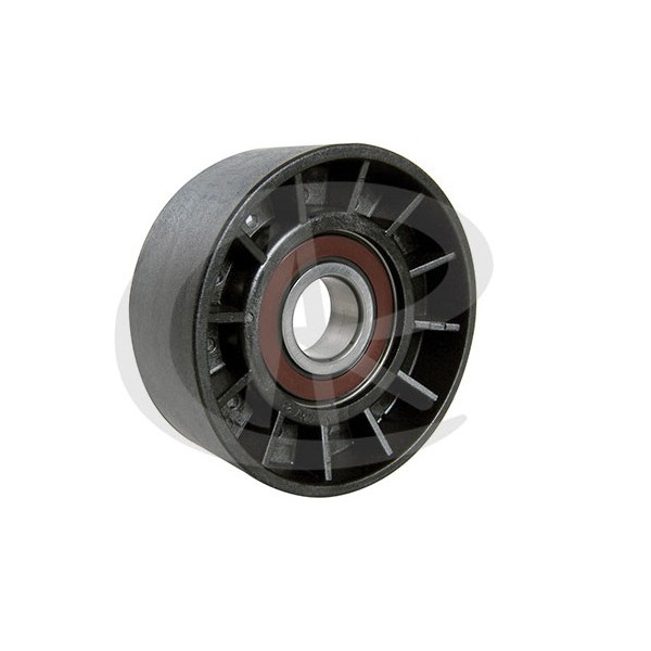 Polia do Tensor Alternador Ranalle R4451