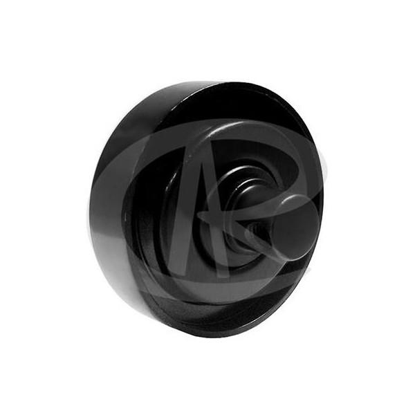 Polia do Tensor Alternador Ranalle R4947