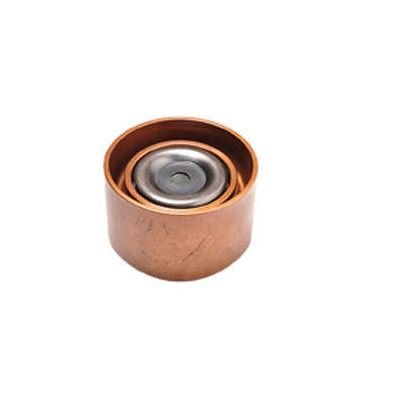 Polia do Tensor Alternador Rochepecas 2R0903119D