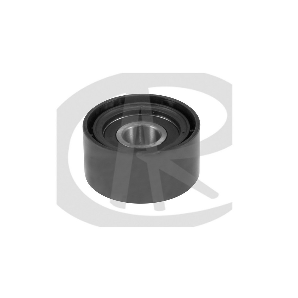 Polia do Tensor Alternador Ranalle R4821