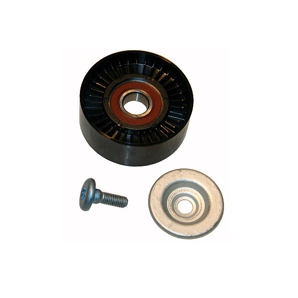 Polia do Tensor Alternador INA 5320648100
