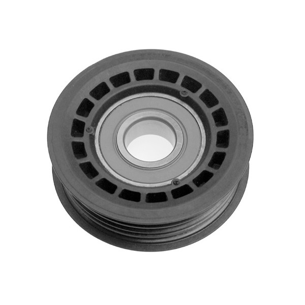 Polia do Tensor Alternador INA 5320400300