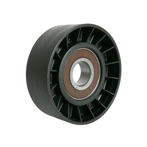 Polia do Tensor Alternador Ranalle R4820