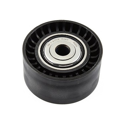 Polia do Tensor Alternador INA 5320534100