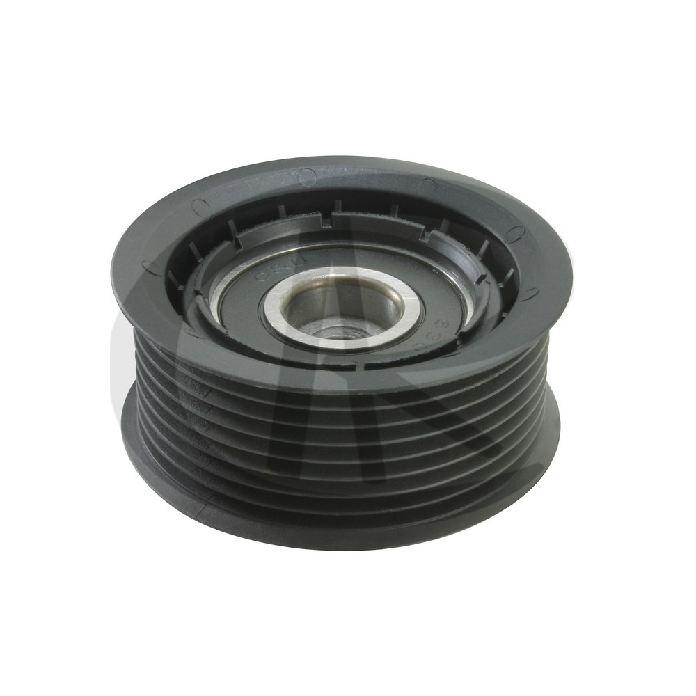 Polia do Tensor Alternador Ranalle R8515
