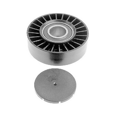 Polia do Tensor Alternador INA 5320169100