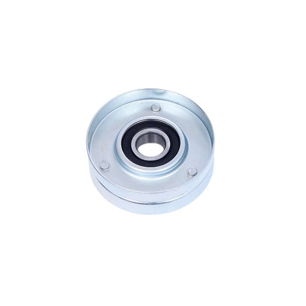 Polia do Tensor Alternador Dayco APV2917
