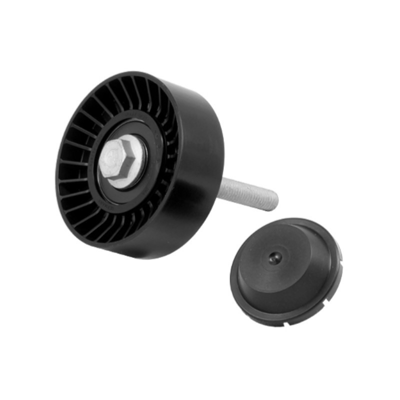 Polia do Tensor Compressor INA 5320346100