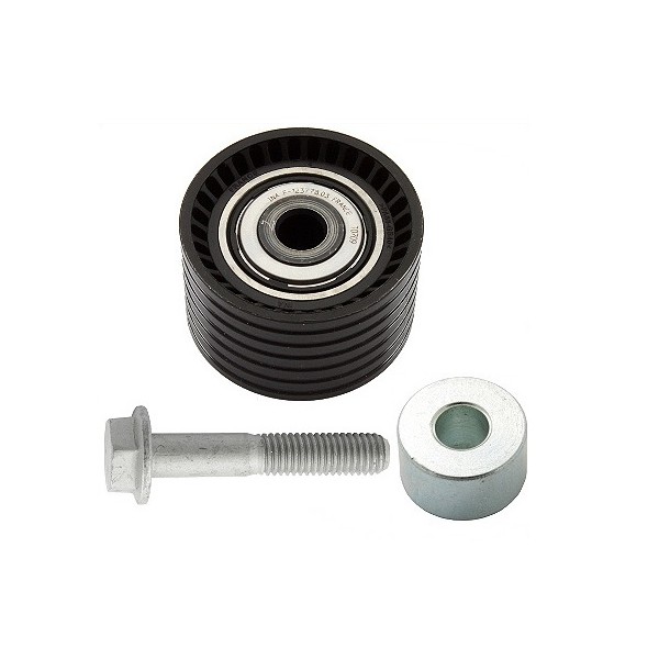 Polia Guia da Correia Dentada INA 5320654100