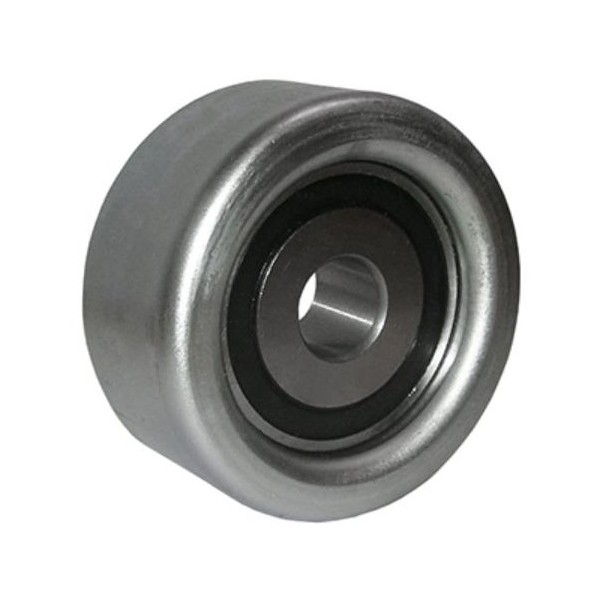 Polia Guia da Correia Dentada Ranalle R4743