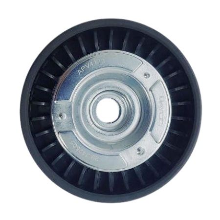 Polia Guia do Alternador Dayco APV4173