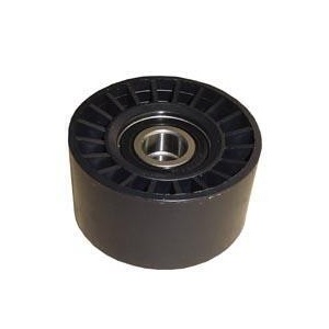 Polia Intermedíaria Lisa do Tensor Alternador Rochepecas 2R0903119B