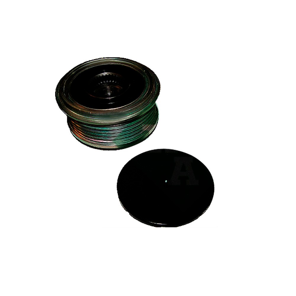 Polia Roda Livre do Alternador INA 5350124100
