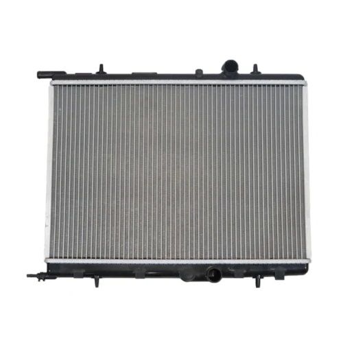 Radiador de Água Importado RYB242011E