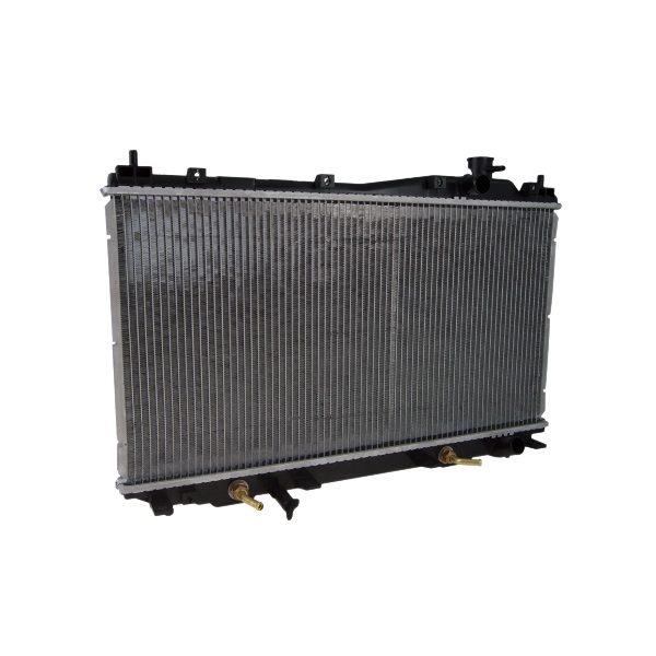 Radiador de Água Denso BC4221365450A4