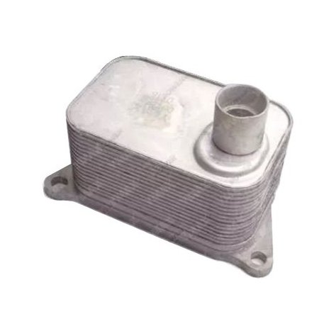 Radiador de Óleo Bilbao BBM06J117021D
