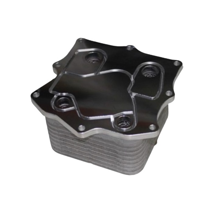 Radiador de Óleo Vannucci BH3T6720AA