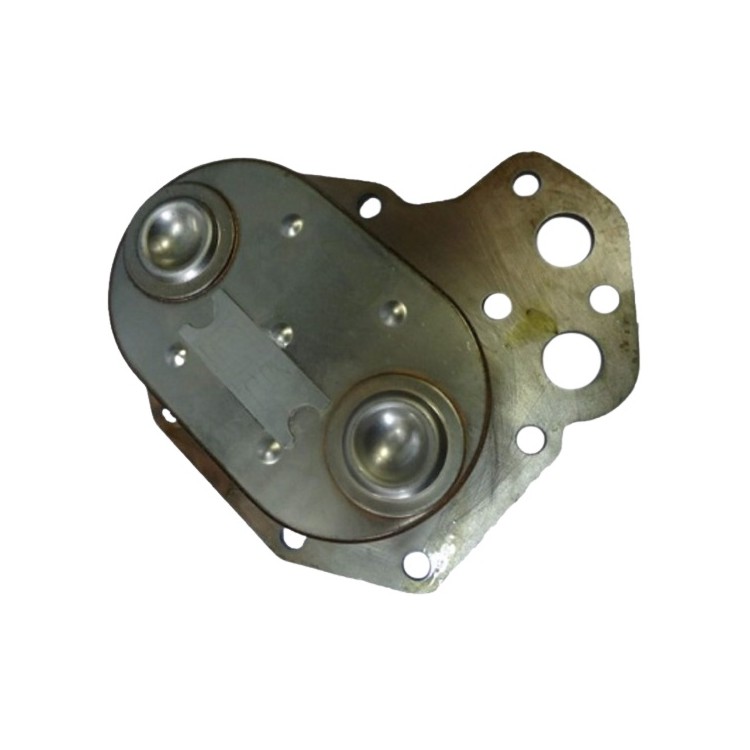 Radiador de Óleo Vannucci VA22738