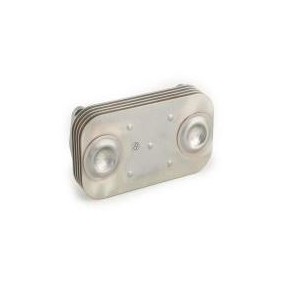 Radiador de Óleo Refil sem Suporte Iveco 5802751739