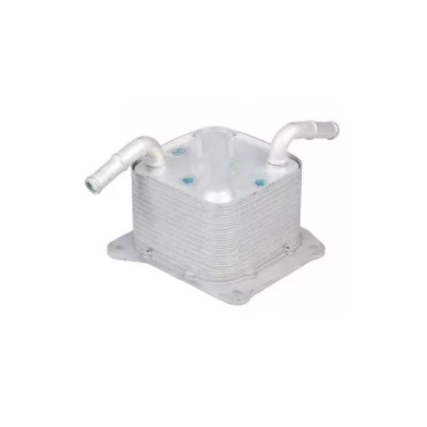 Radiador de Óleo Importado RY92158