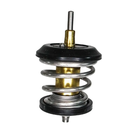 Refil da Válvula Termostática Importado RY9367J