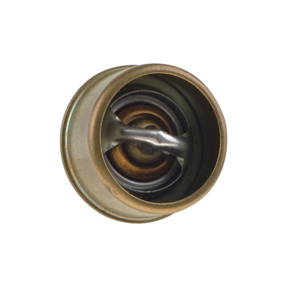 Refil da Válvula Termostática Magneti Marelli MMVT24787K