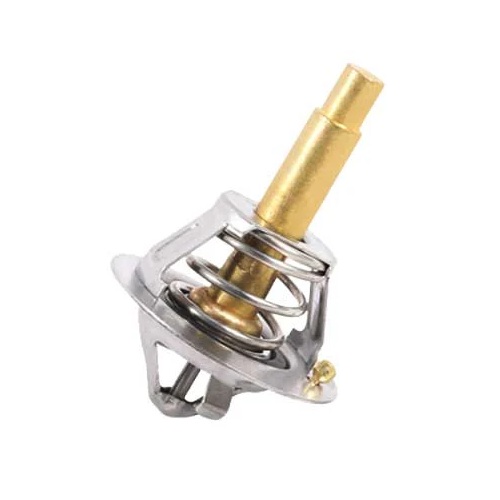 Refil da Válvula Termostática Importado RY9313J