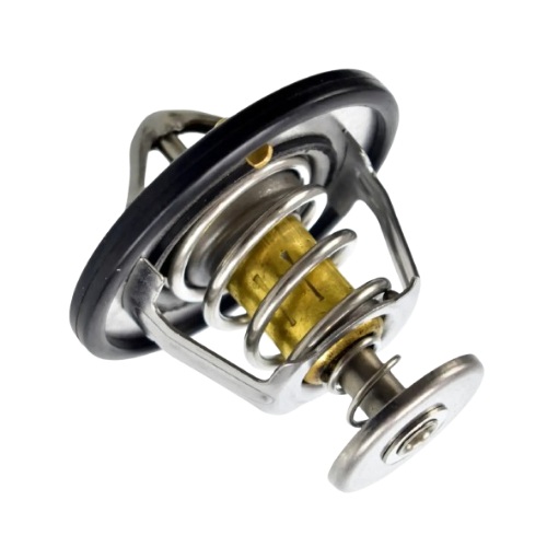Refil da Válvula Termostática Importado RY9348J