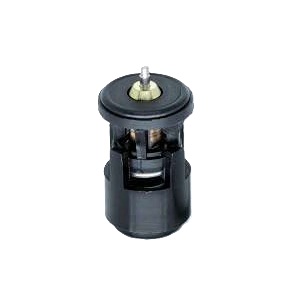 Refil da Válvula Termostática Columbia COLVAL224587