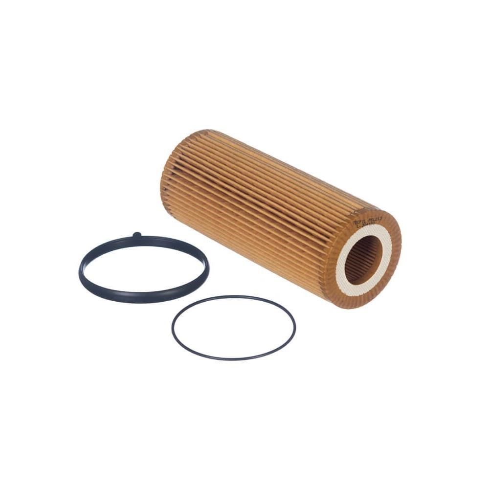 Refil do Filtro de Óleo Tecfil PEL213