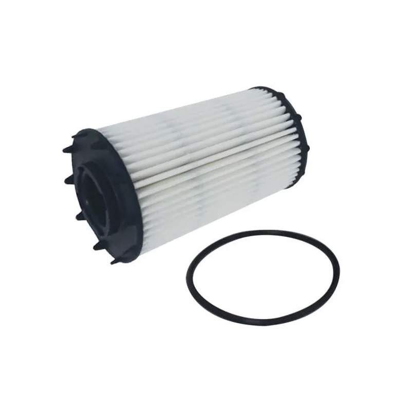 Refil do Filtro de Óleo Wega Motors WOE227