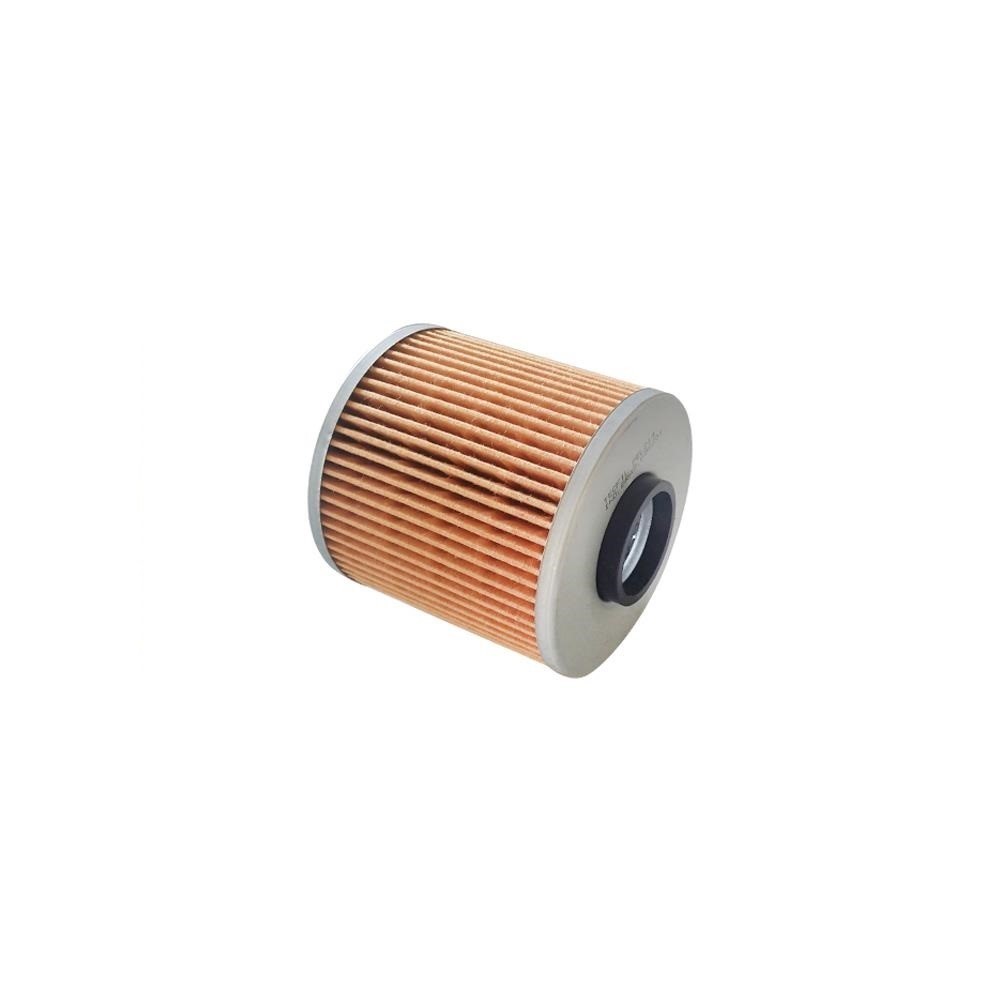 Refil do Filtro de Óleo Tecfil PEL214