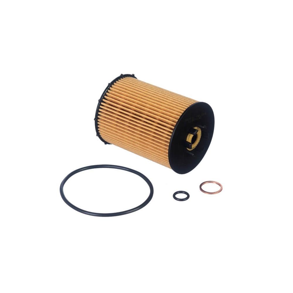 Refil do Filtro de Óleo Tecfil PEL215