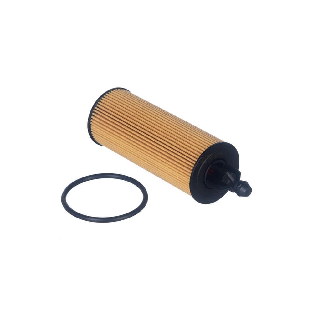 Refil do Filtro de Óleo Tecfil PEL219B