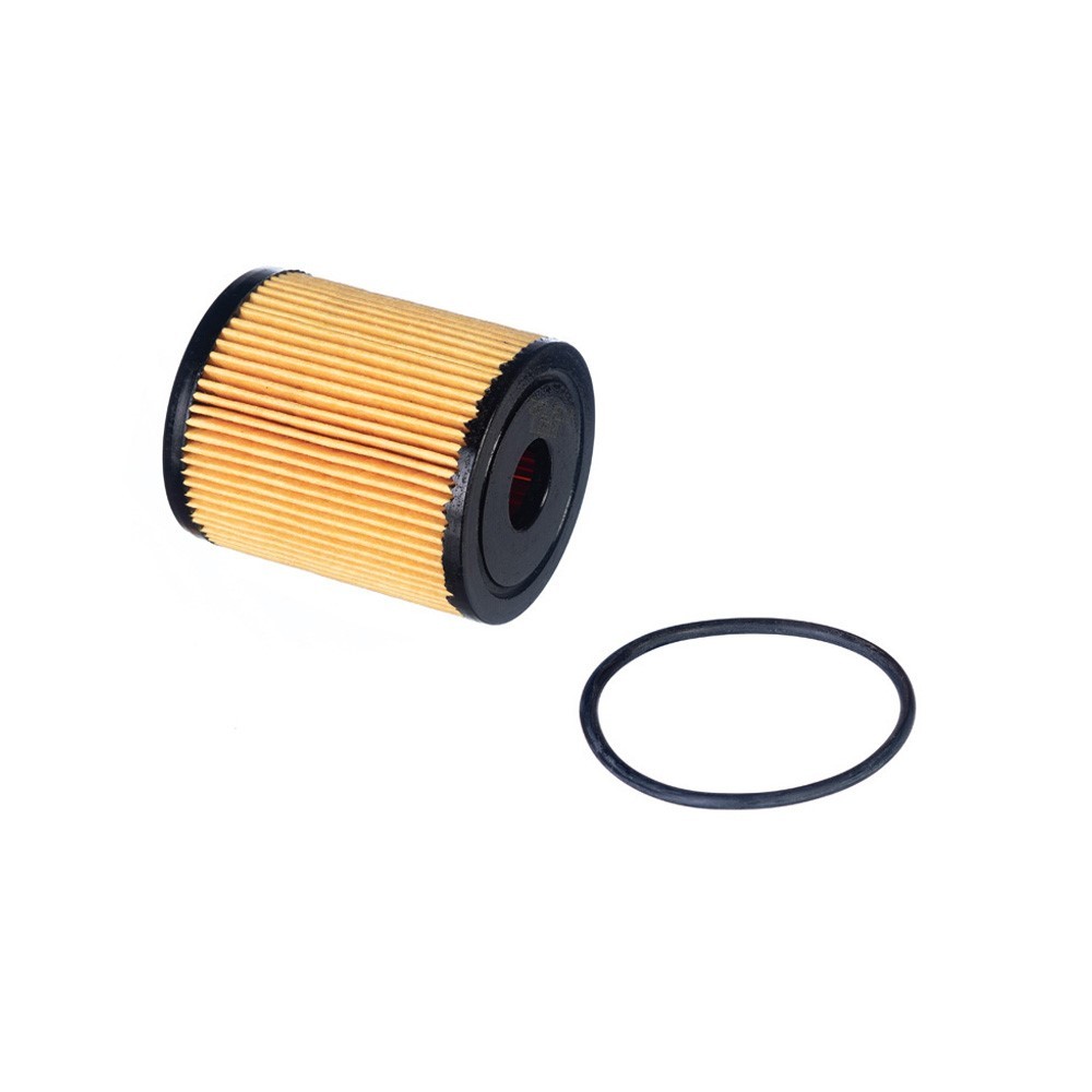 Refil do Filtro de Óleo Tecfil PEL119